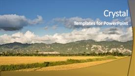  Presentation with golden rice - Beautiful PPT theme featuring rural scenery with golden paddy backdrop and a teal colored foreground