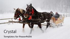  Presentation with rural tourism - PPT layouts consisting of rural tourism - horse pulled sledge background and a white colored foreground