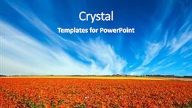  Presentation with tourism business - Slide set consisting of rural tourism and agro background and a ocean colored foreground