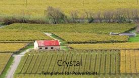  Presentation with western and eastern philosophy - Audience pleasing slide deck consisting of rural tourism homestead - autumn landscape of vineyards western backdrop and a tawny brown colored foreground