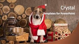  Presentation with russell - Amazing PPT theme having russell terrier in christmas gnome backdrop and a tawny brown colored foreground