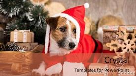  Presentation with dog christmas - Slide deck consisting of russell terrier in christmas gnome background and a red colored foreground