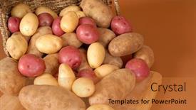  Presentation with spilling - Presentation design with russet-red-and-white-potatoes background and a gold colored foreground