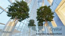  Presentation with government - 