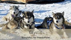  Presentation with teams - 