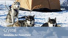  Presentation with teams - 