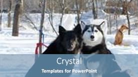  Presentation with teams - 