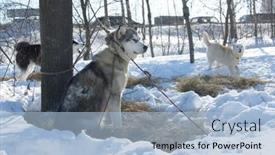  Presentation with teams - 