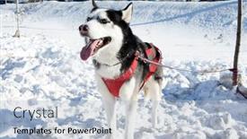  Presentation with teams - 