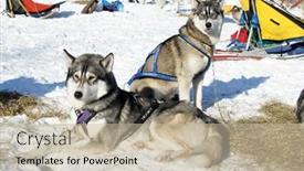  Presentation with teams - 