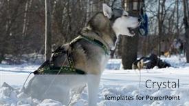  Presentation with teams - 