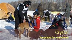  Presentation with teams - 