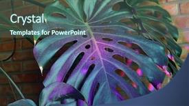  Presentation with phyto - PPT theme featuring semiconductor environment - phyto lamp agrolamp illuminates tropical background and a ocean colored foreground