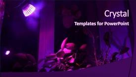  Presentation with citrus - Theme having agrolamp illuminates tropical citrus tree background and a wine colored foreground