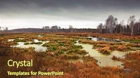  Presentation with swamp - Cool new presentation theme with russian autumn swamp landscape photo backdrop and a tawny brown colored foreground
