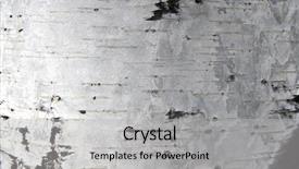  Presentation with birch bark - Presentation theme with russian birch trunk bark close background and a light gray colored foreground