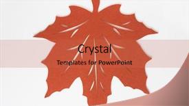  Presentation with maple leaf - Audience pleasing slide deck consisting of rust colored felt maple leaf backdrop and a red colored foreground
