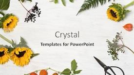  Presentation with sunflowers - Presentation enhanced with rustic-floral-arrangement-of-sunflowers background and a sky blue colored foreground