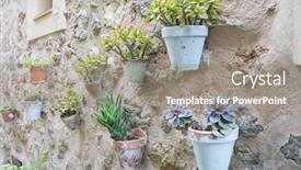  Presentation with city street - PPT layouts enhanced with rustic flowerpots street in the tourist island of mallorca valdemosa city in spain background and a gray colored foreground