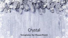  Presentation with snow tree - Colorful presentation theme enhanced with rustic holiday - snow-covered fir tree branch backdrop and a lemonade colored foreground