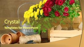  Presentation with rustic wood and flowers - Theme enhanced with rustic table with flowers pots background and a tawny brown colored foreground