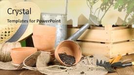  Presentation with soil - Amazing theme having rustic table with flowers pots potting soil watering can and plants on bright background planting flowers concept backdrop and a lemonade colored foreground