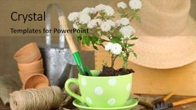  Presentation with soil - Beautiful PPT layouts featuring rustic table with flowers pots potting soil watering can and plants on sackcloth background planting flowers concept backdrop and a coral colored foreground