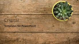  Presentation with wood rustic - Audience pleasing presentation design consisting of rustic-weathered-wood-background backdrop and a coral colored foreground