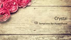  Presentation with pink wedding - PPT theme featuring rustic wedding - vintage background with pink roses background and a lemonade colored foreground