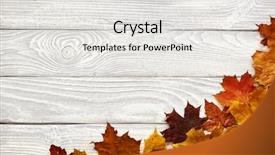  Presentation with autumn leaves - Slides enhanced with rustic wooden background with autumn background and a white colored foreground