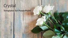  Presentation with spray - PPT layouts featuring rustic wooden background with free background and a light gray colored foreground