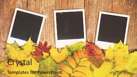 Presentation with autumn leaves - Cool new presentation design with photo cards of photo frame backdrop and a yellow colored foreground