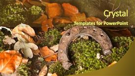  Presentation with autumn leaves - PPT layouts having  background and a  colored foreground