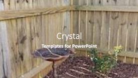  Presentation with mulch - Presentation theme having rusty-old-metal-birdbath background and a coral colored foreground