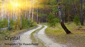  Presentation with forest road - Cool new slide set with rut road in forest on sunset background backdrop and a coral colored foreground