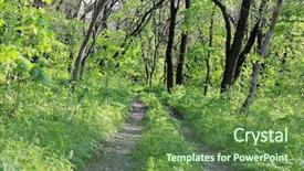  Presentation with forest road green - Beautiful PPT theme featuring rut road in green forest backdrop and a tawny brown colored foreground