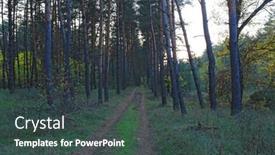  Presentation with pine forest - Slide deck having rut-road-in-pine-forest background and a ocean colored foreground