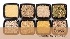  Presentation with rice seed - Amazing PPT theme having rye grain and wild rice backdrop and a  colored foreground