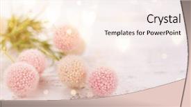  Presentation with bud - Audience pleasing presentation theme consisting of bud s - flowers composition for valentine's mother's backdrop and a sky blue colored foreground