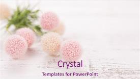  Presentation with bud - Slide set having bud s - flowers composition for valentine's mother's background and a sky blue colored foreground