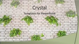  Presentation with devil - PPT layouts enhanced with s aureus - devil s ivy decorated background and a lemonade colored foreground