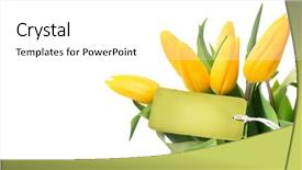  Presentation with greeting card - PPT theme with s day holiday spring yellow background and a white colored foreground