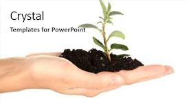  Presentation with hand holding plant - Presentation theme enhanced with s hand holding a plant background and a white colored foreground