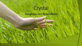  Presentation with concert symphony woman dancing in grass - PPT theme featuring s hand touching the grass background and a gold colored foreground