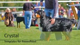  Presentation with jin ding monastry mountain - Audience pleasing presentation theme consisting of s handler on dog contest backdrop and a  colored foreground