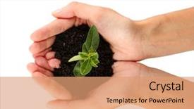  Presentation with holding hands - Presentation design with s hands holding a plant background and a coral colored foreground