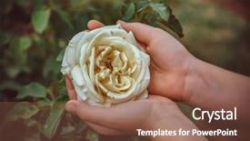  Presentation with holding hands - Theme having s hands holding delicate rose background and a tawny brown colored foreground