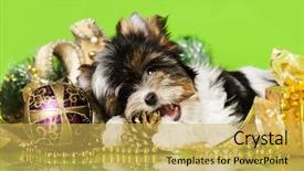  Presentation with christmas new year frame banner - Slide deck featuring s puppy christmas dog beaver background and a yellow colored foreground
