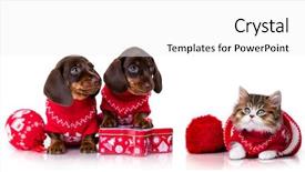  Presentation with merry christmas and new year - PPT layouts having s puppy dachshund and christmas background and a white colored foreground