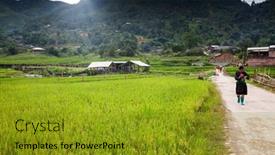  Presentation with rice fields - Beautiful slides featuring sa-pa-vietnam-august-2017 backdrop and a gold colored foreground